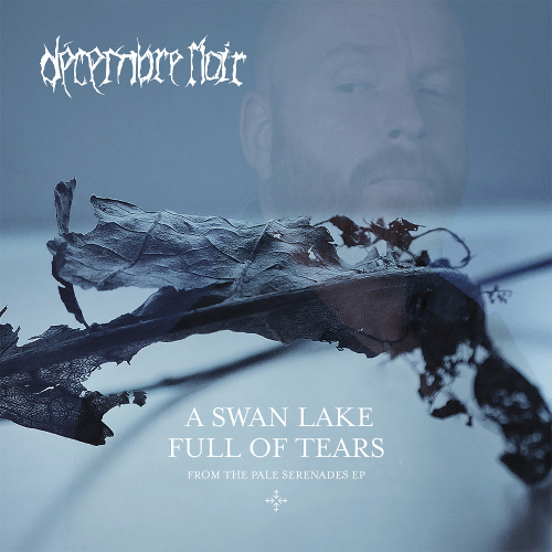 Décembre Noir : A Swan Lake Full of Tears